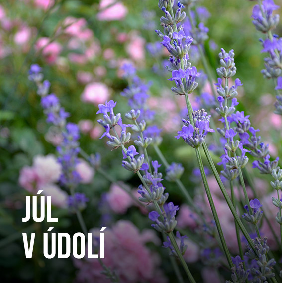 Červenec v údolí